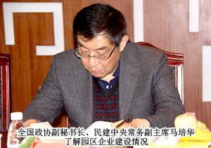 全國政協(xié)副秘書長、民建中央常務(wù)副主席馬培華一行蒞臨綠之韻集團(tuán)考察