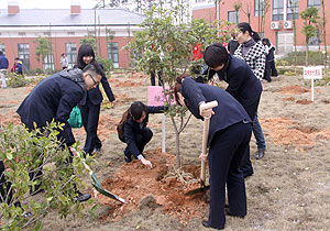 綠之韻集團(tuán)開(kāi)展3?12植樹(shù)活動(dòng)