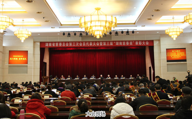 胡國(guó)安董事長(zhǎng)當(dāng)選湖南省慈善總會(huì)副會(huì)長(zhǎng)，綠之韻集團(tuán)榮膺“湖南省慈善獎(jiǎng)”殊榮