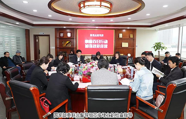 國家部委聯合督導組蒞臨綠之韻集團檢查指導