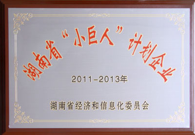湖南省“小巨人”計劃企業(yè)