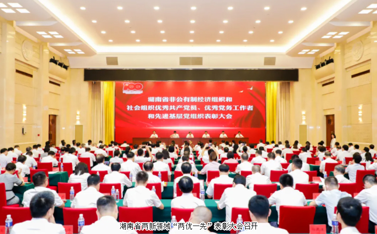 湖南省兩新領(lǐng)域“兩優(yōu)一先”表彰大會召開，綠之韻集團(tuán)黨委書記劉云榮獲湖南省“優(yōu)秀黨務(wù)工作者”榮譽(yù)