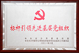 標(biāo)桿引領(lǐng)先進基層黨組織